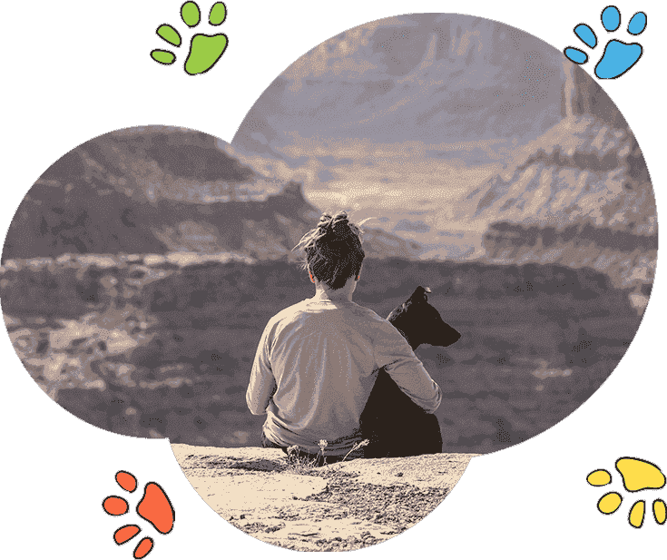 DDOS压力测试网页端